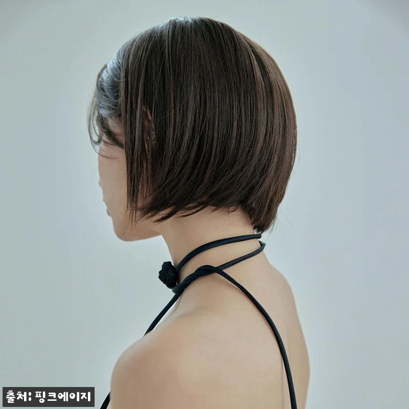 핑크에이지 세미 수제 통가발 브이컷 니콜, 여름 똑단발 변신템으로 눈여겨본 솔직 정리 15 핑크에이지 세미 수제 통가발 브이컷 관련 이미지 4