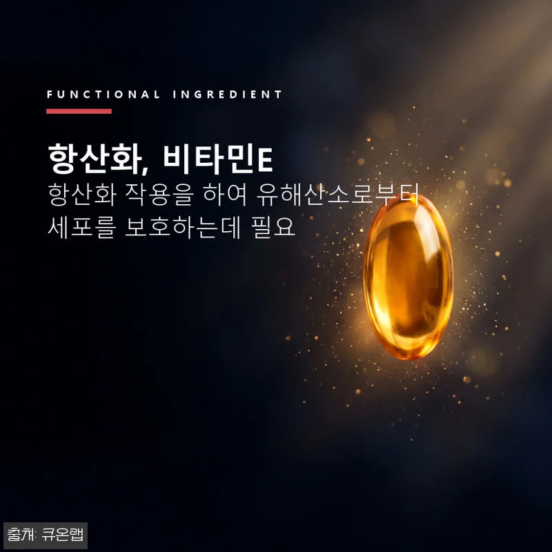 3+1 홍국트리오 메가 60정 4개, 관련 이미지 4