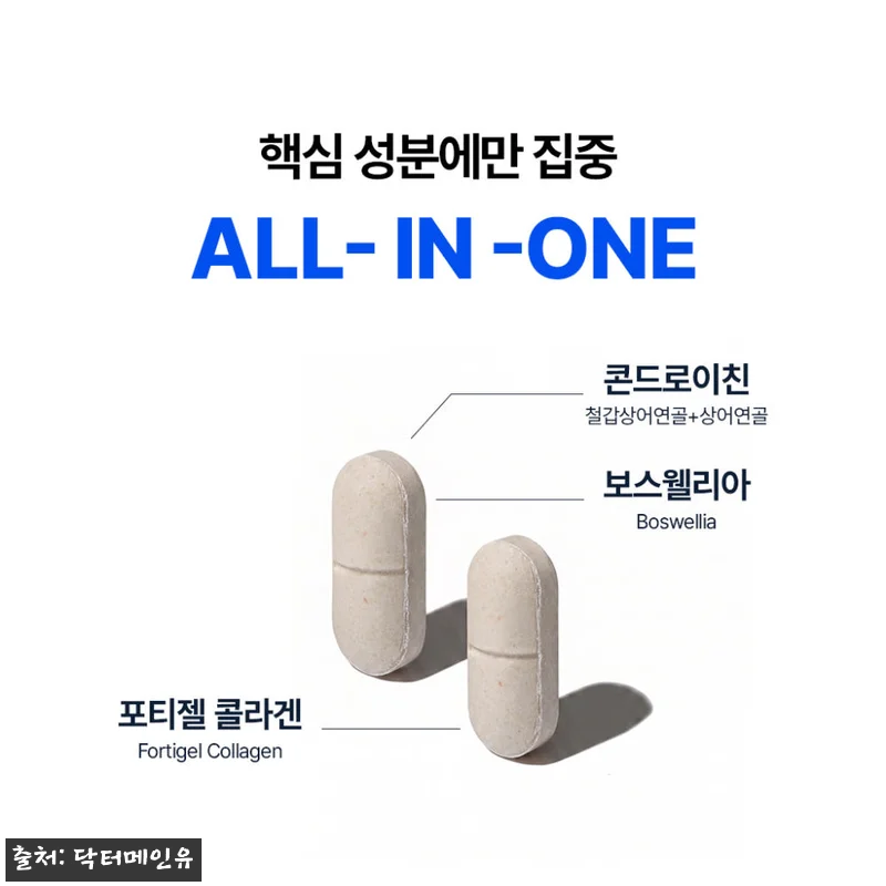 철갑상어 콘드로이친 보스웰리아 140 관련 이미지 4