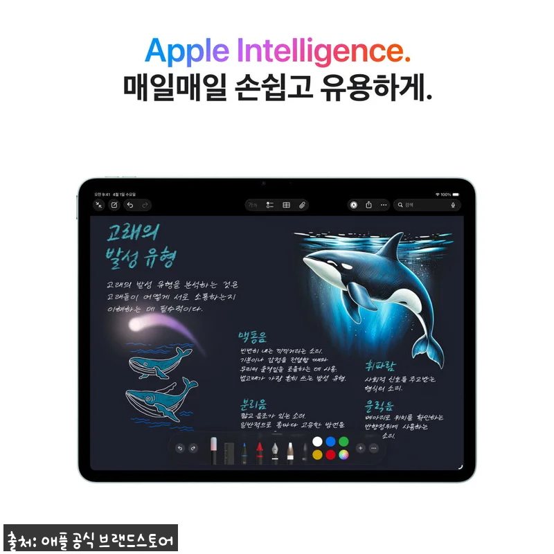 애플 아이패드 에어 11 M4 WiFi 블루 128GB 찐후기 정리, 2% 할인에 적립까지 챙기는 구매 팁 15 애플 아이패드 에어 11 M4 WiF 관련 이미지 4