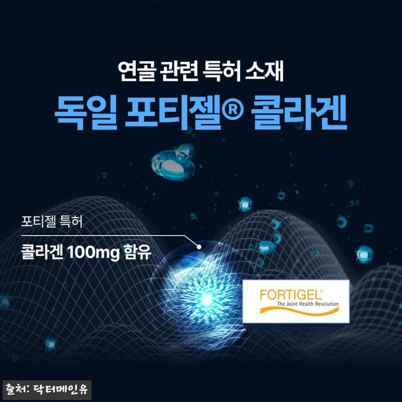철갑상어 콘드로이친 보스웰리아 140 관련 이미지 6