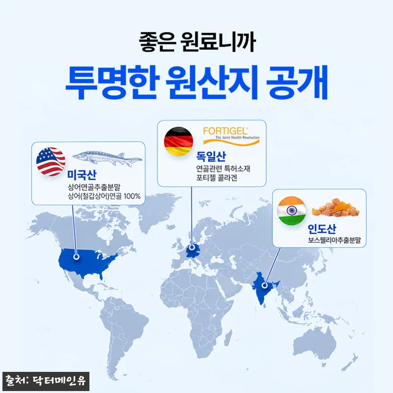 철갑상어 콘드로이친 보스웰리아 140 관련 이미지 7