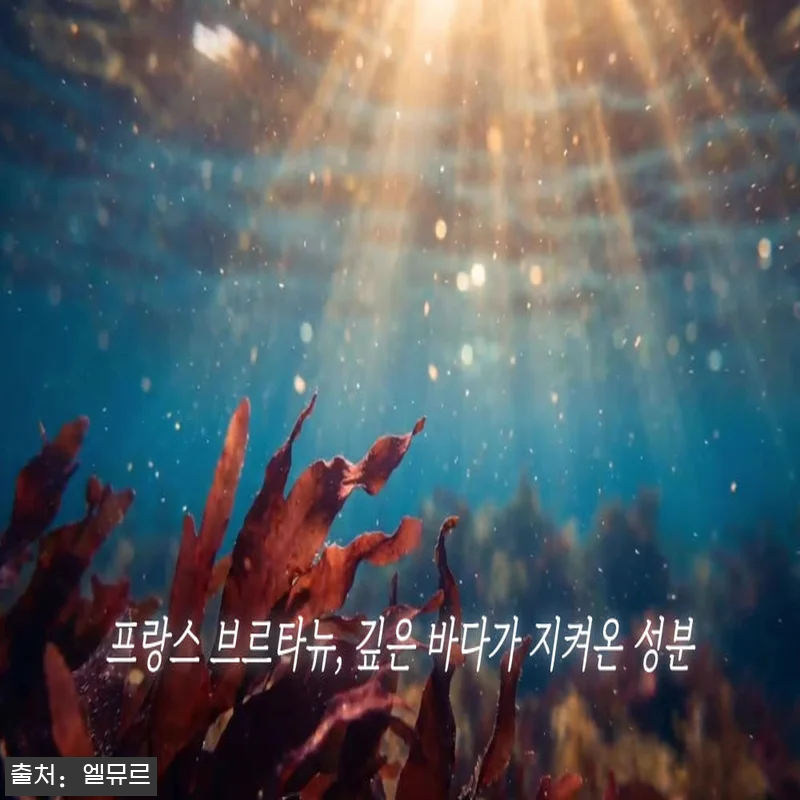 엘뮤르 시그널링 리프팅 펩타이드 앰플 관련 이미지 7