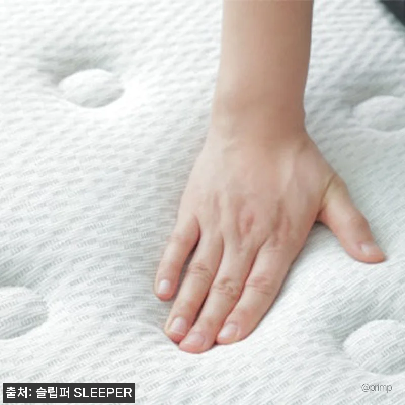 슬립퍼 밸런스드 프라임 25cm LK 관련 이미지 9